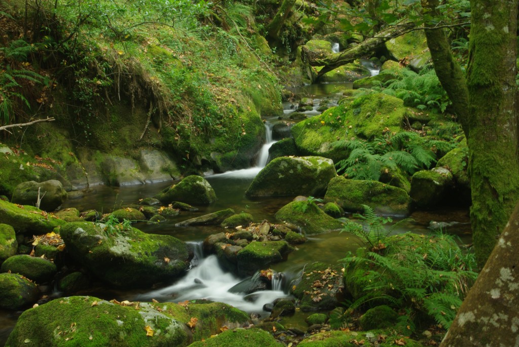 Foto de Padrenda (Ourense), España