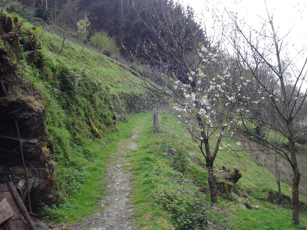 Foto de Taramundi (Asturias), España