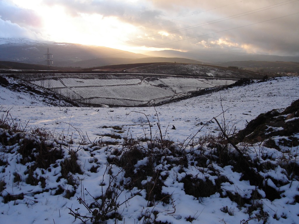 Foto de Boboras (Ourense), España