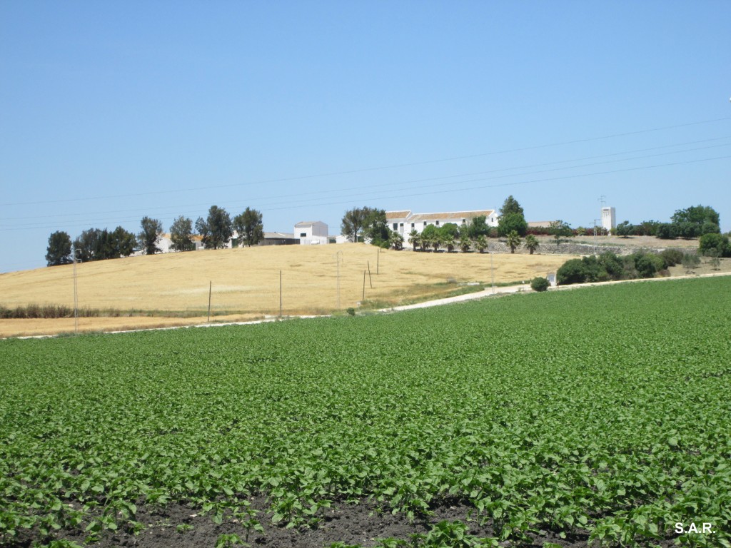 Foto: Cortijo Alijar - Jerez de la Frontera (Cádiz), España
