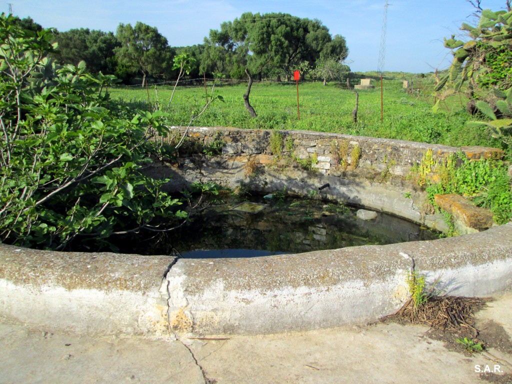 Foto: El pozo - Las Cobatillas (Cádiz), España