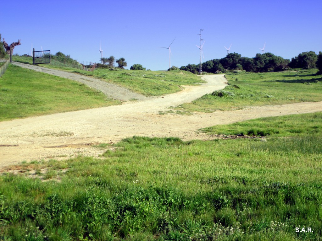Foto: Cañada Real Marchantiega - Las Cobatillas (Cádiz), España