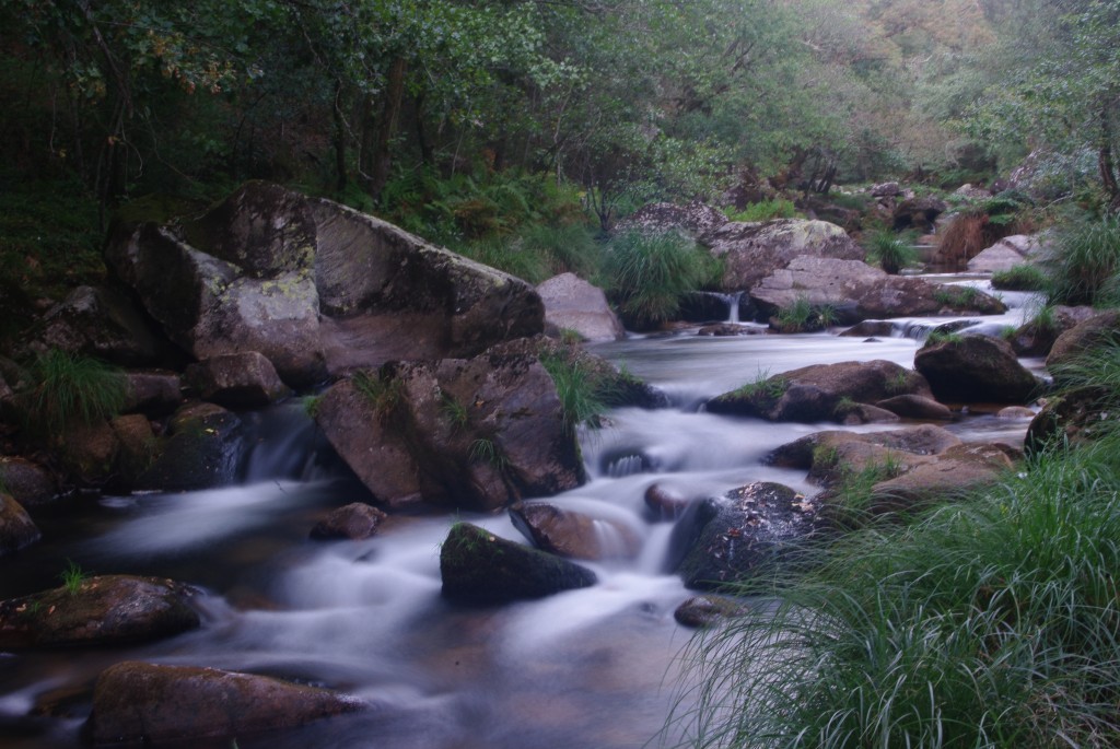 Foto de Covelo (Pontevedra), España