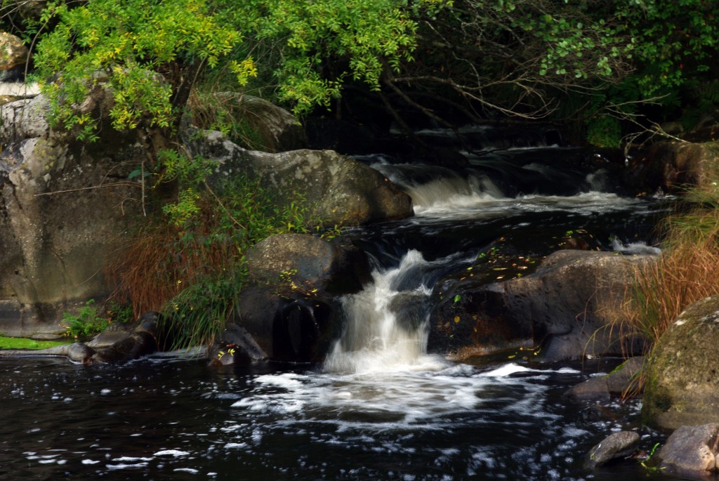 Foto de Melon (Ourense), España