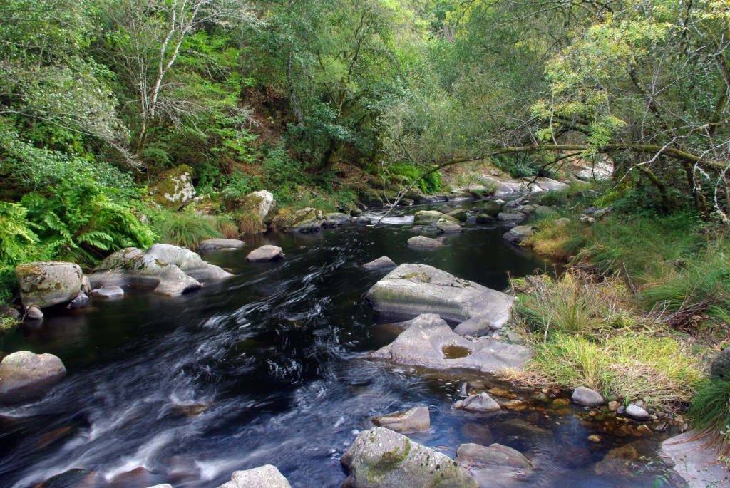 Foto de Covelo (Pontevedra), España