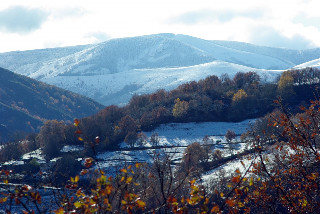 Foto de Terras de Trives (Ourense), España