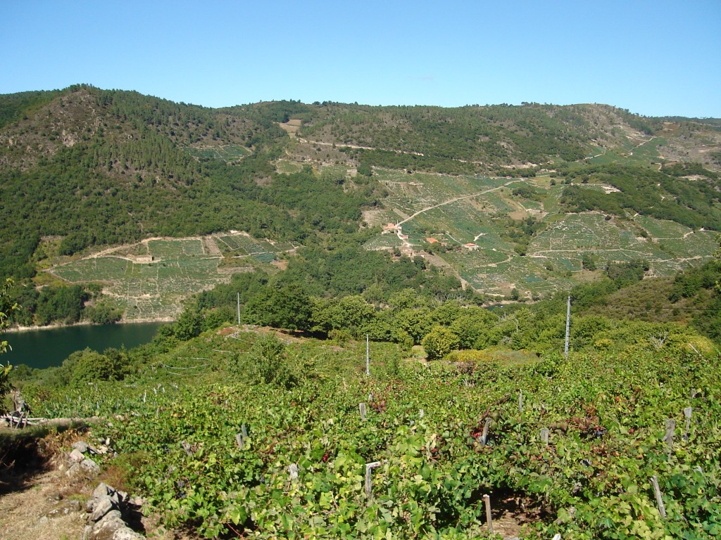 Foto de Ribeira Sacra (Lugo), España