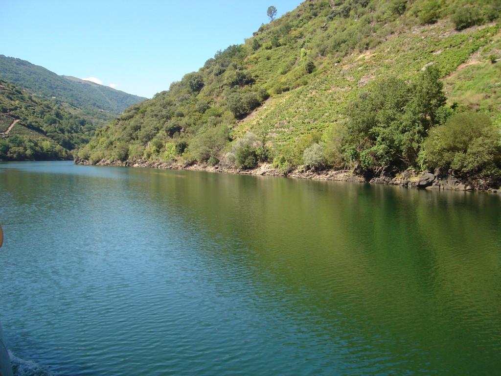 Foto de Ribeira Sacra (Ourense), España