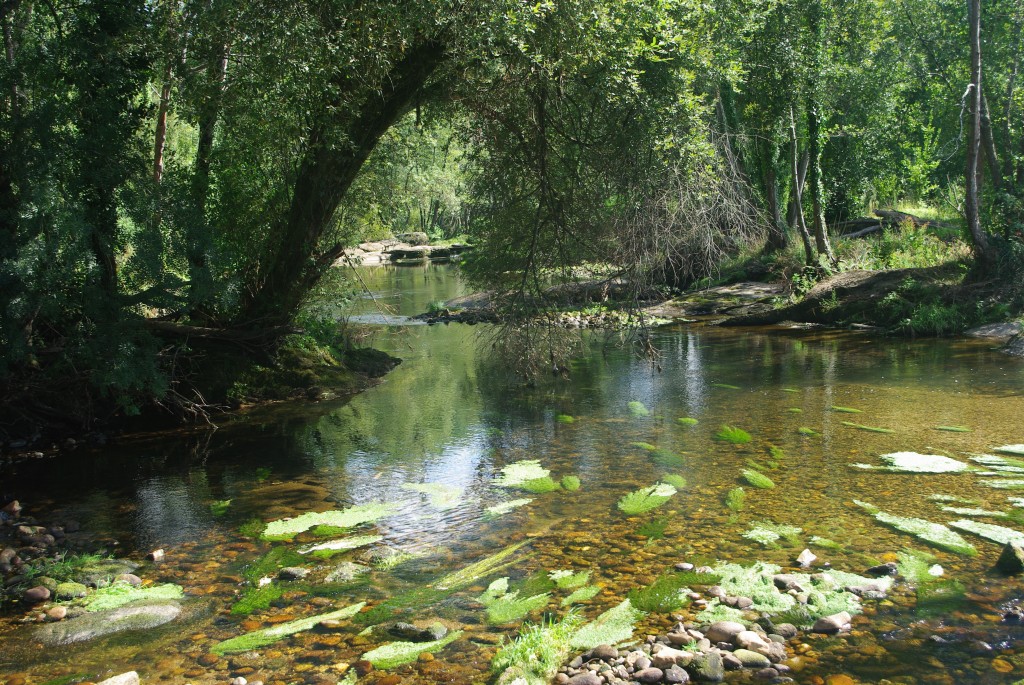 Foto de Leiro (Ourense), España