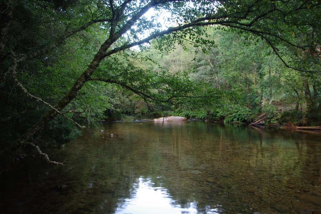 Foto de Barciademera (Pontevedra), España