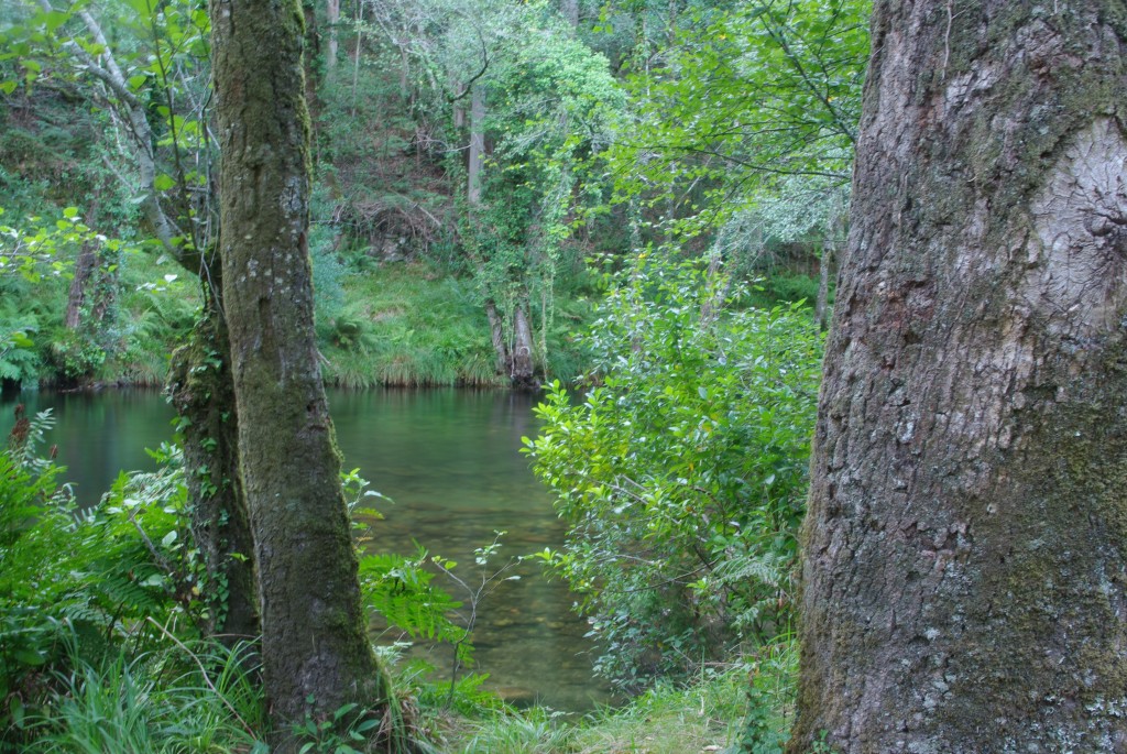 Foto de Barciademera (Pontevedra), España