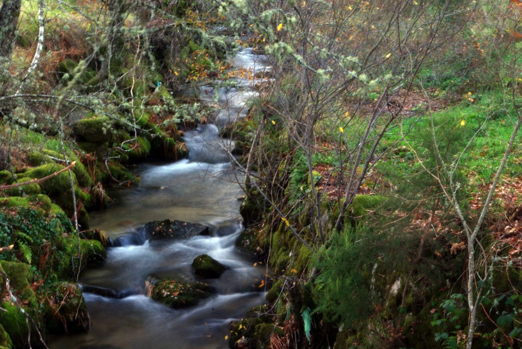 Foto de Castro Laboreiro (Viana do Castelo), Portugal