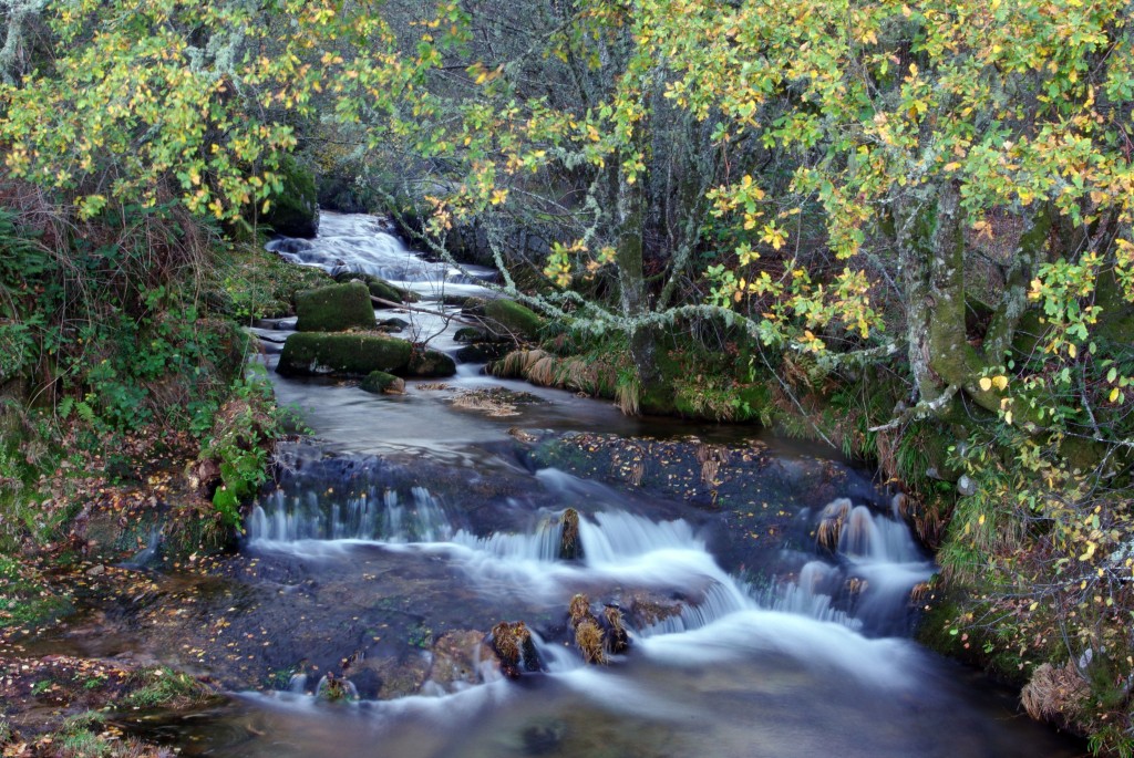 Foto de Castro Laboreiro (Viana do Castelo), Portugal