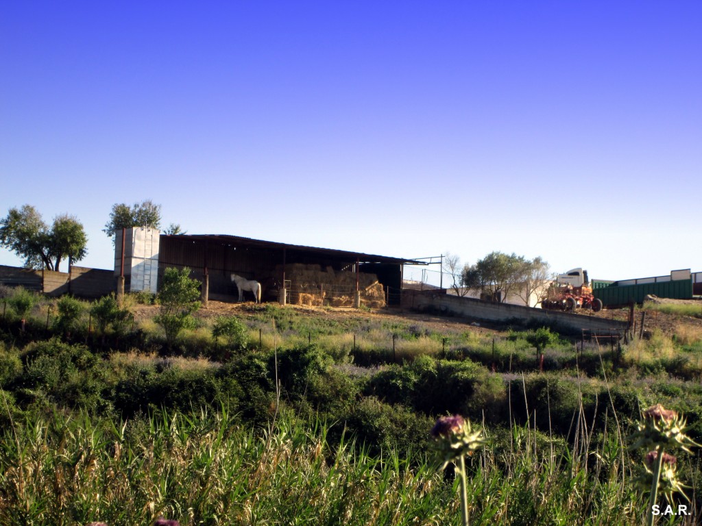 Foto: Establos - San José del Valle (Cádiz), España