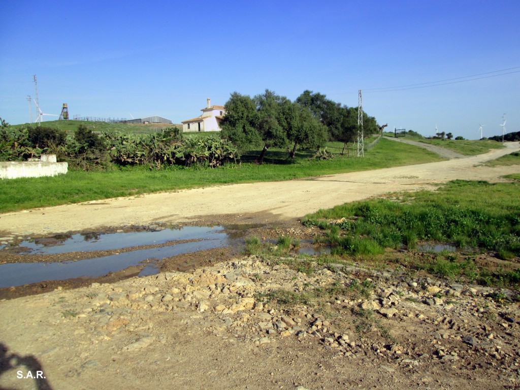 Foto: Camino al Santuario de los Santos - Las Cobatillas (Cádiz), España