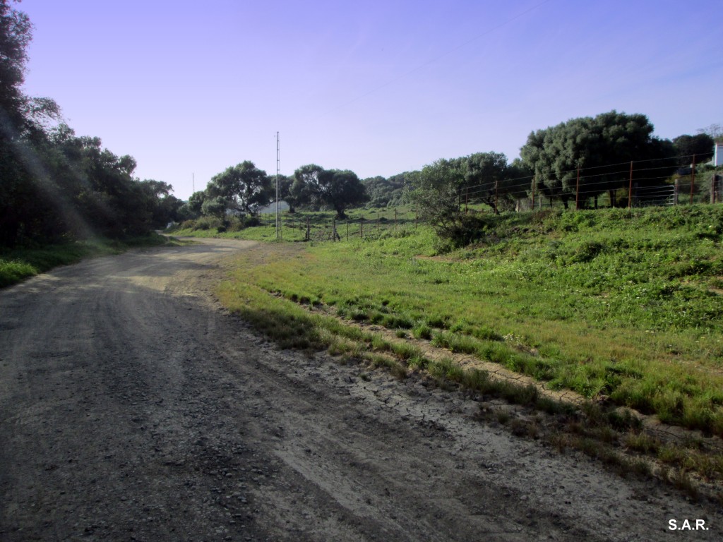 Foto: Camino al Cerro de la Higuera - Las Cobatillas (Cádiz), España