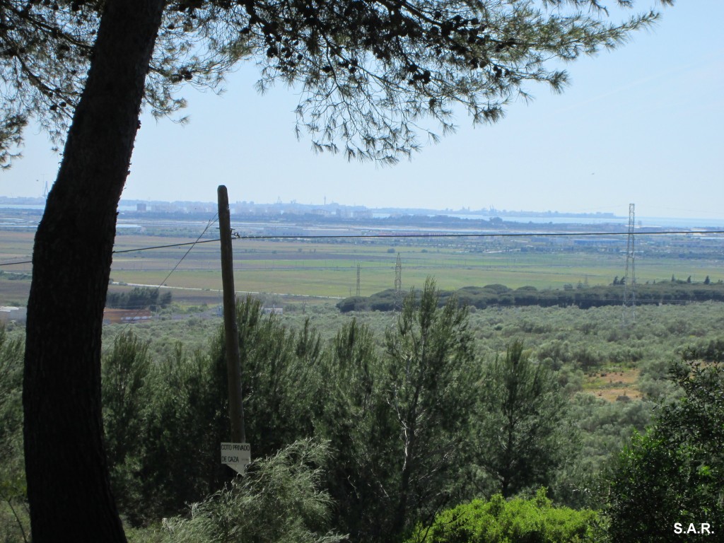 Foto: Desde San Cristobal - Doña Blanca (Cádiz), España