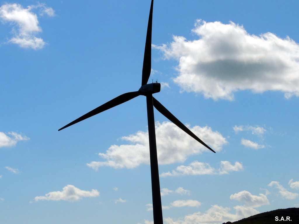 Foto: El de la Calle Molino - El Almarchal (Cádiz), España