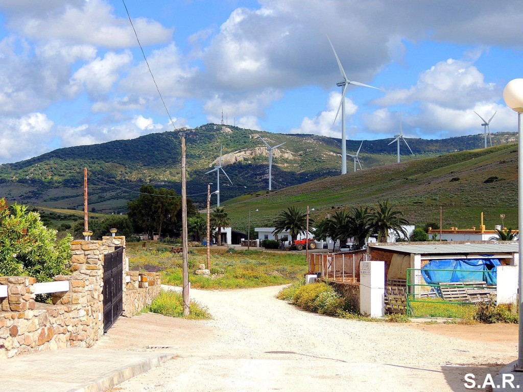Foto: Finca Juan Barrios - El Almarchal (Cádiz), España