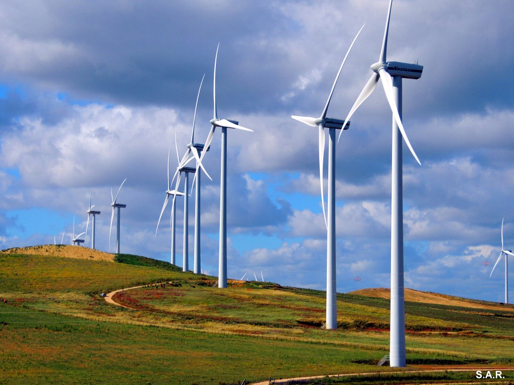 Foto: En fila - El Almarchal (Cádiz), España