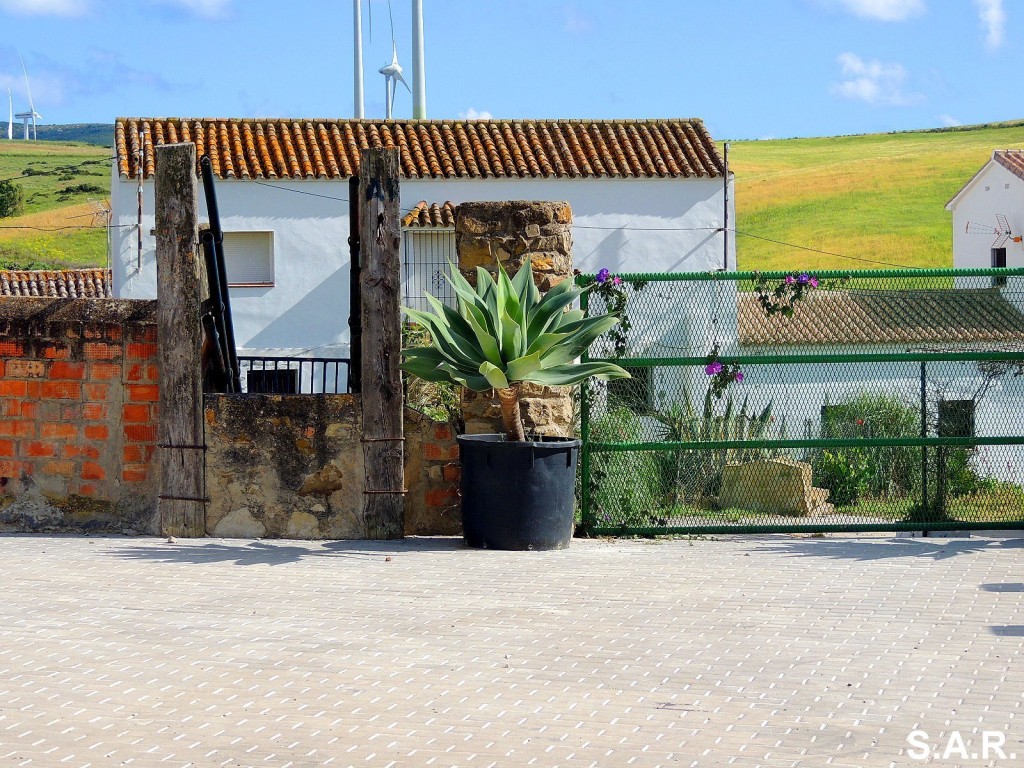 Foto: Cortijo Dolores - El Almarchal (Cádiz), España
