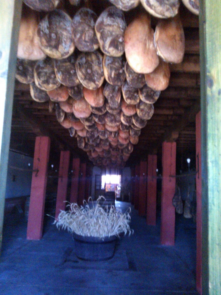 Foto: Jamon Serrano - Capitan Pastene (Araucanía), Chile
