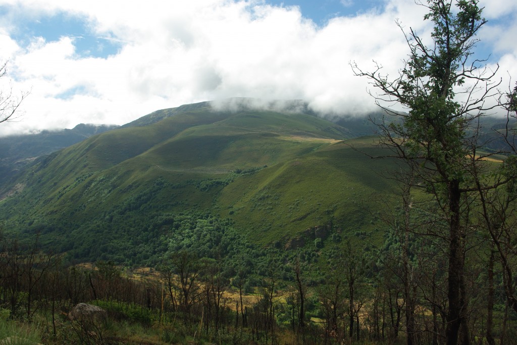 Foto de Vilanova (Ourense), España