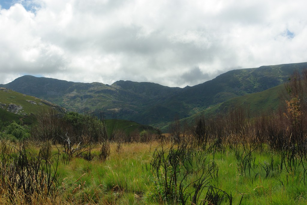 Foto de Vilanova (Ourense), España