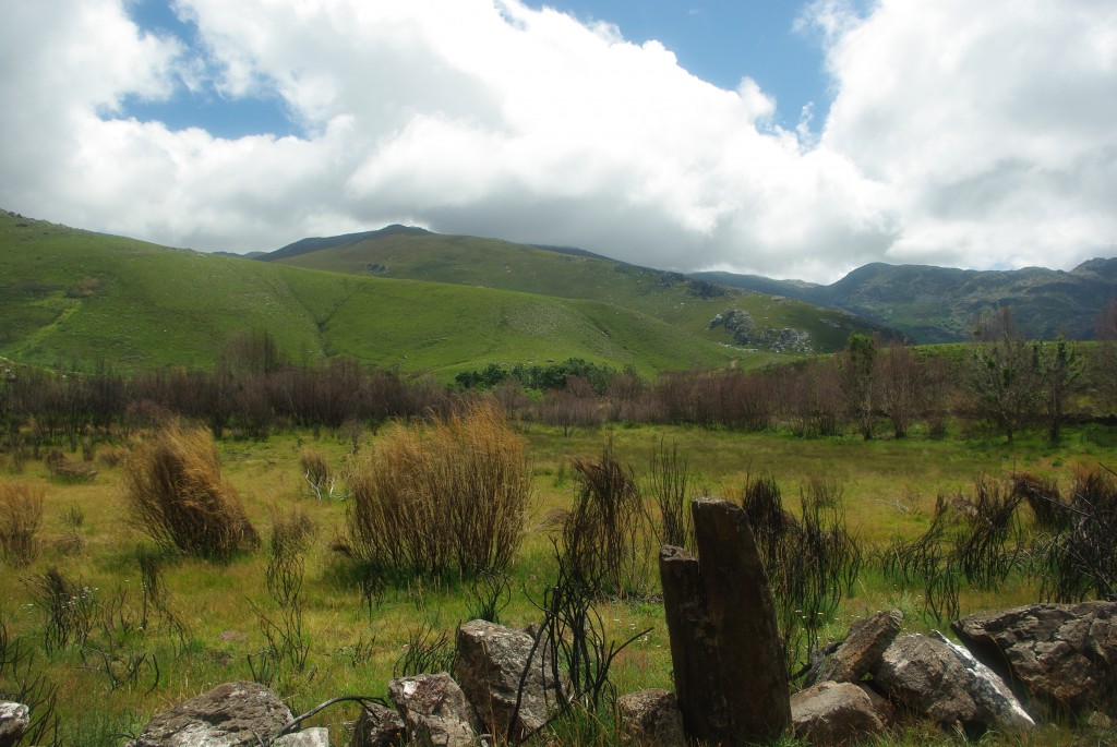 Foto de Vilanova (Ourense), España