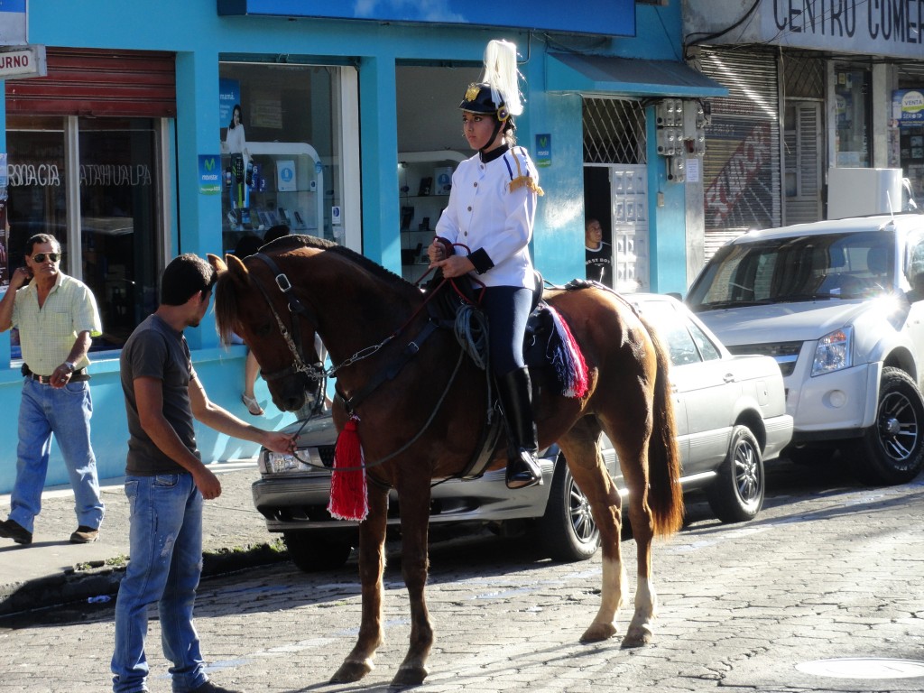 Foto: Hermoso ejemplar - Puyo (Pastaza), Ecuador