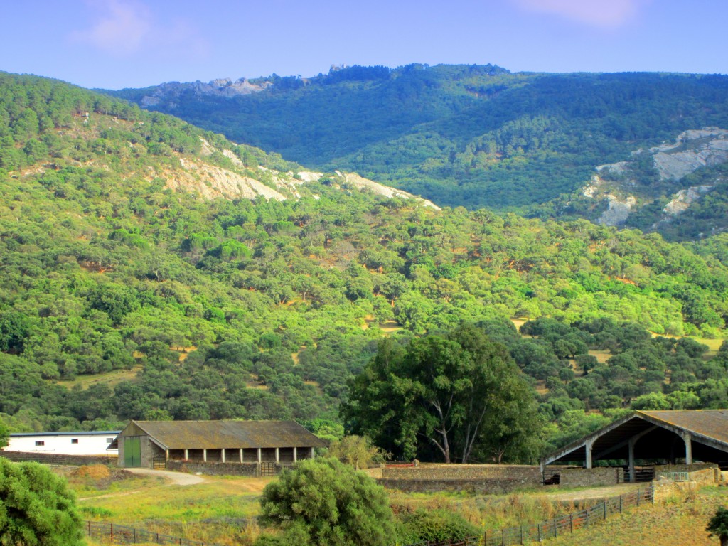 Foto: Instalaciones para el ganado - La Jarda (Cádiz), España