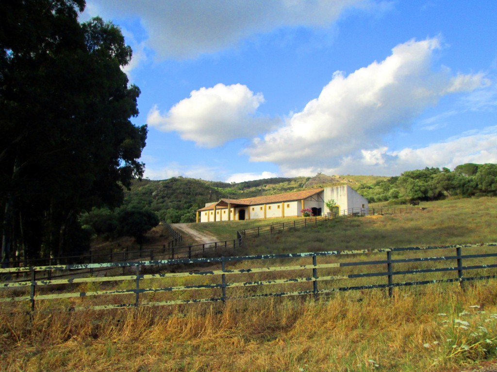 Foto: Naves en La Jarda - La Jarda (Cádiz), España