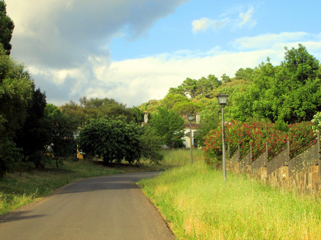 Foto: Carretera interior de la Jarda - La Jarda (Cádiz), España
