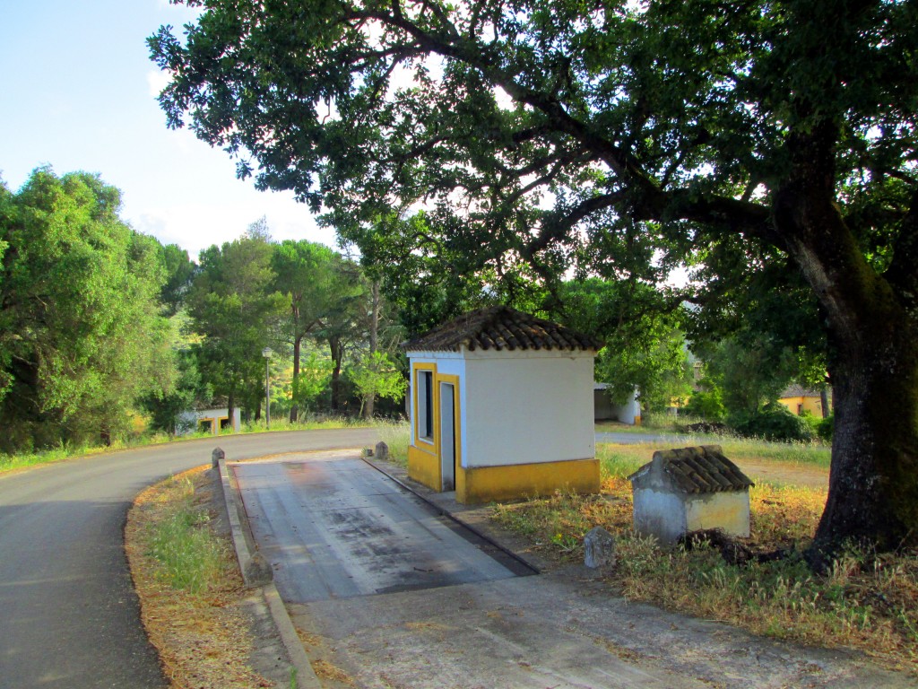 Foto: La báscula - La Jarda (Cádiz), España
