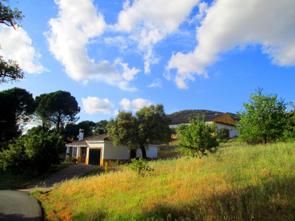 Foto: Viviendas - La Jarda (Cádiz), España