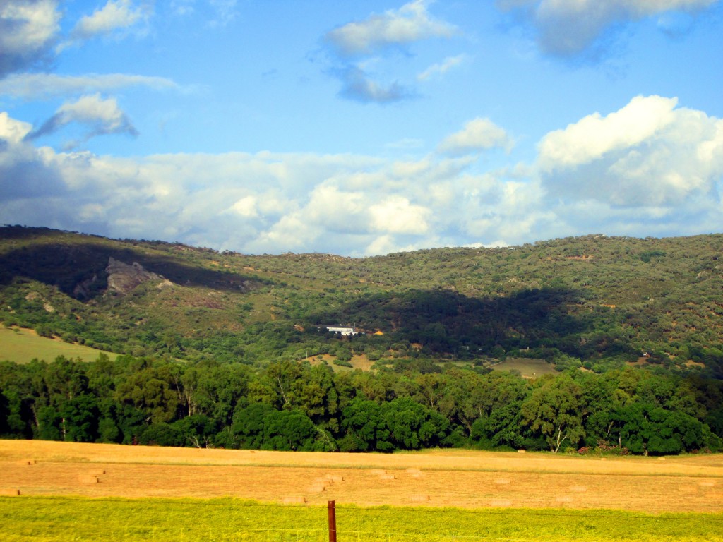 Foto: Vista desde La jarda - La Jarda (Cádiz), España
