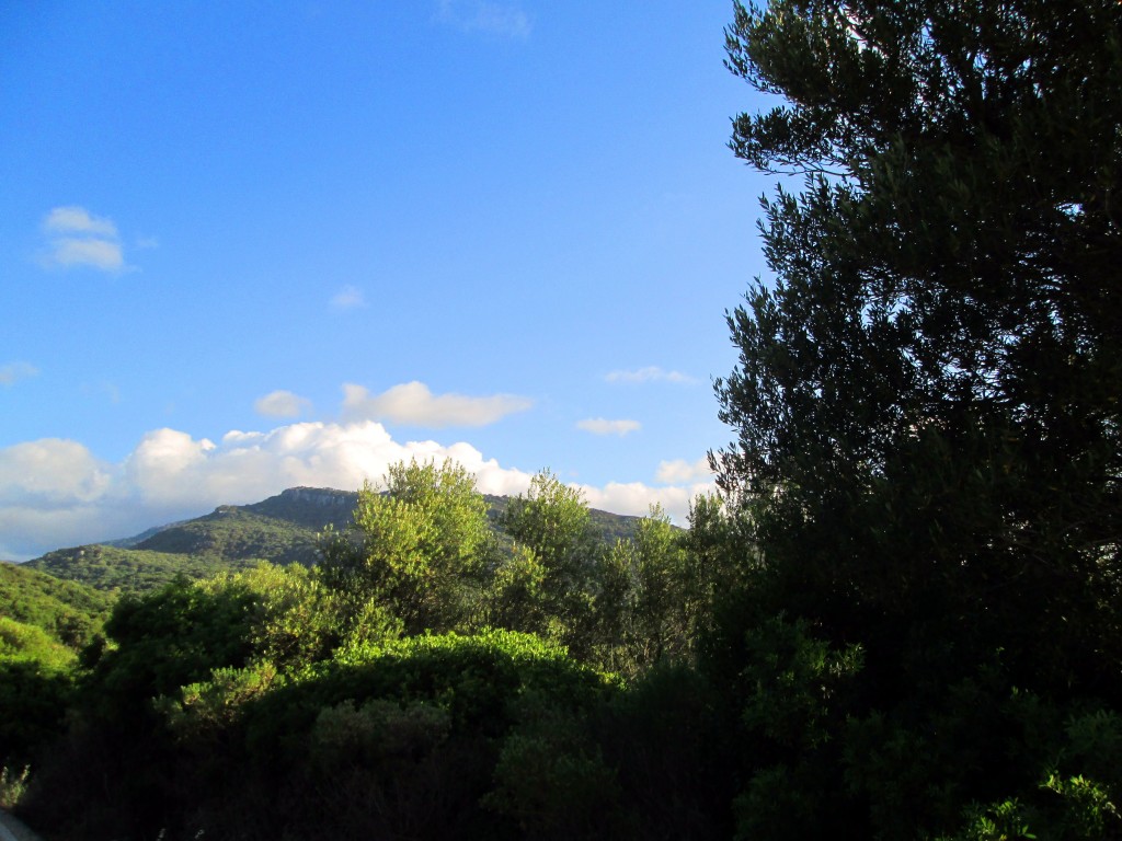 Foto: Vistas al Parque Natural - La Jarda (Cádiz), España