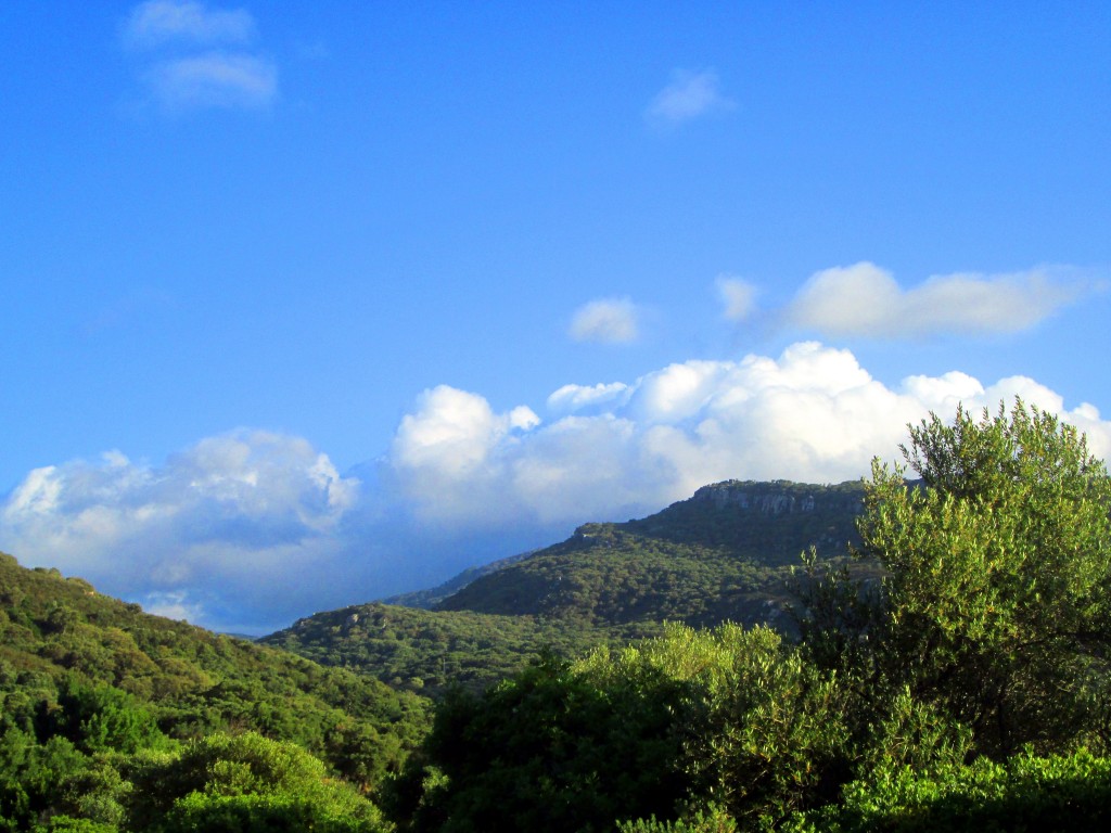 Foto: Montes de propio de Jerez - La Jarda (Cádiz), España