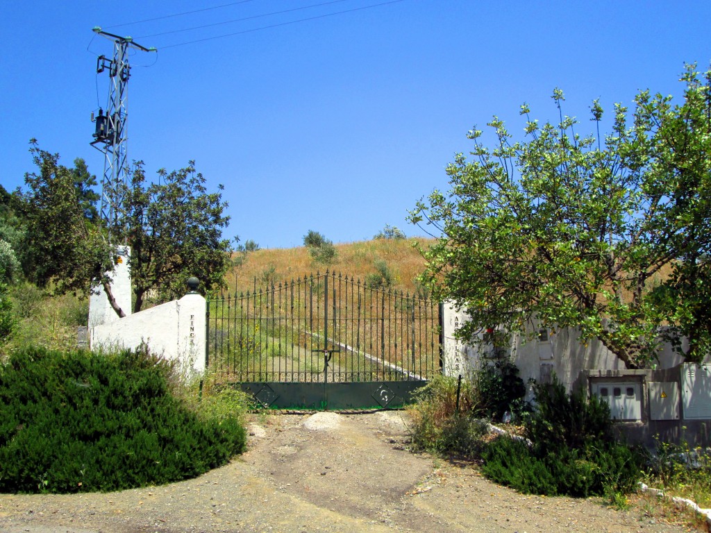 Foto: Finca Las Arenillas - La Muela de Algodonales (Cádiz), España