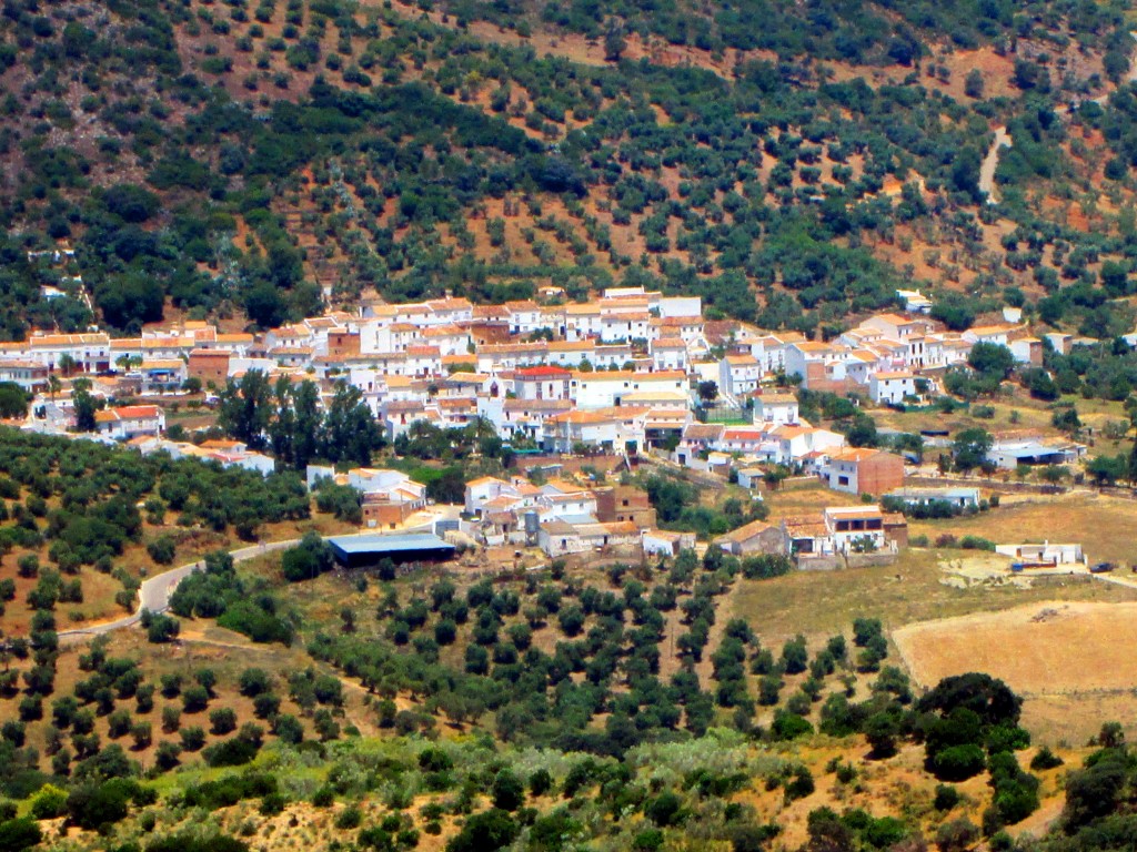 Foto: Vista de La Muela - La Muela de Algodonales (Cádiz), España