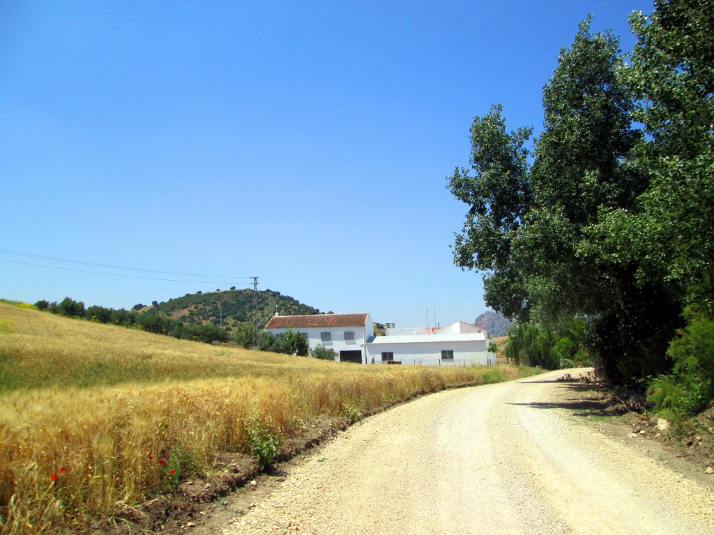 Foto: Lijar desde el camino - La Muela de Algodonales (Cádiz), España