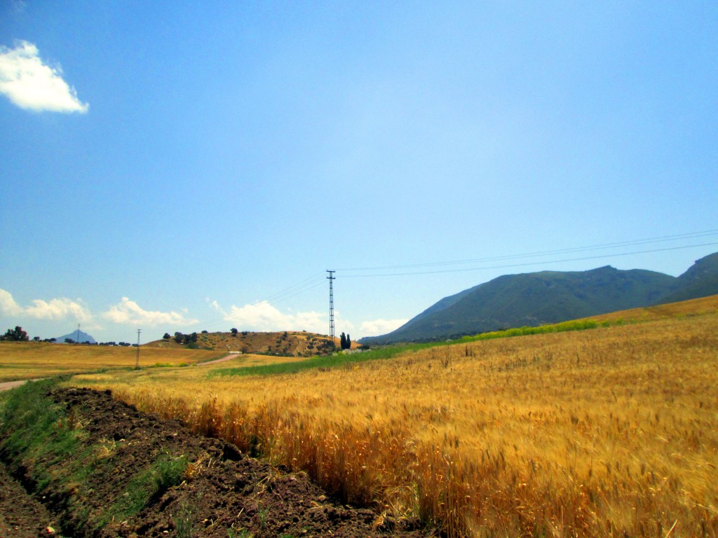 Foto: Vistas desde Lijar - La Muela de Algodonales (Cádiz), España