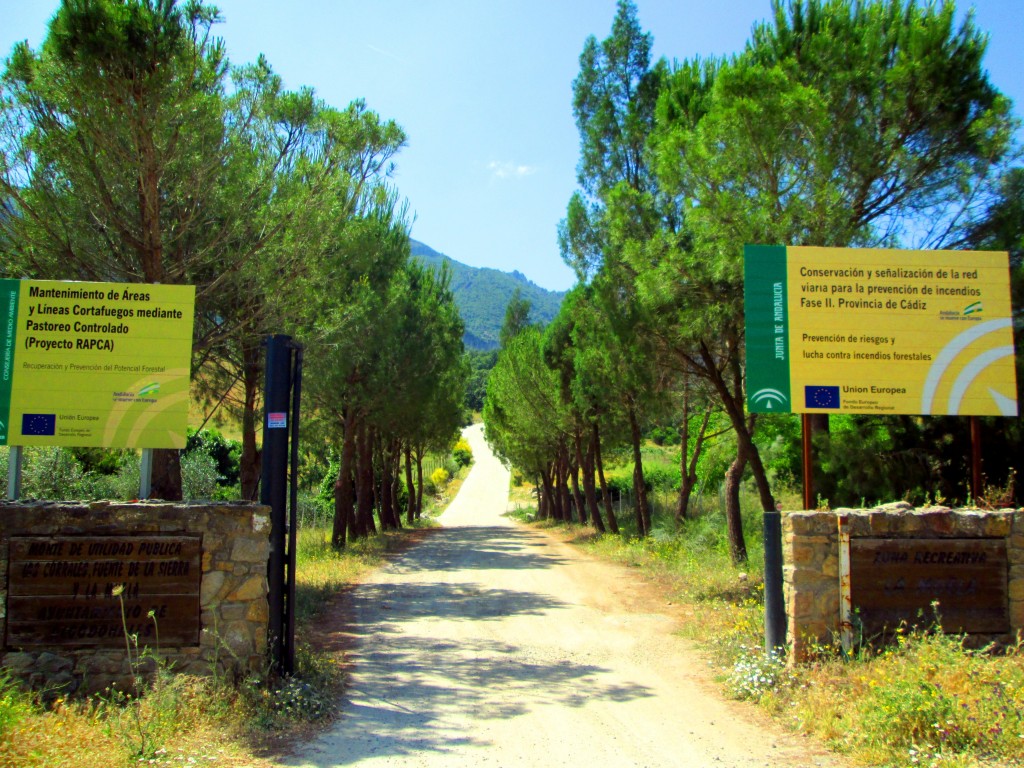 Foto: Zona recreativa La Muela - La Muela de Algodonales (Cádiz), España