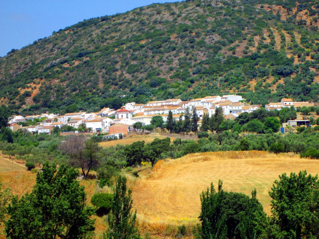 Foto: Vista de La Muela - La Muela de Algodonales (Cádiz), España