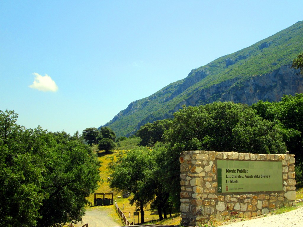 Foto: Monte público La Muela - La Muela de Algodonales (Cádiz), España