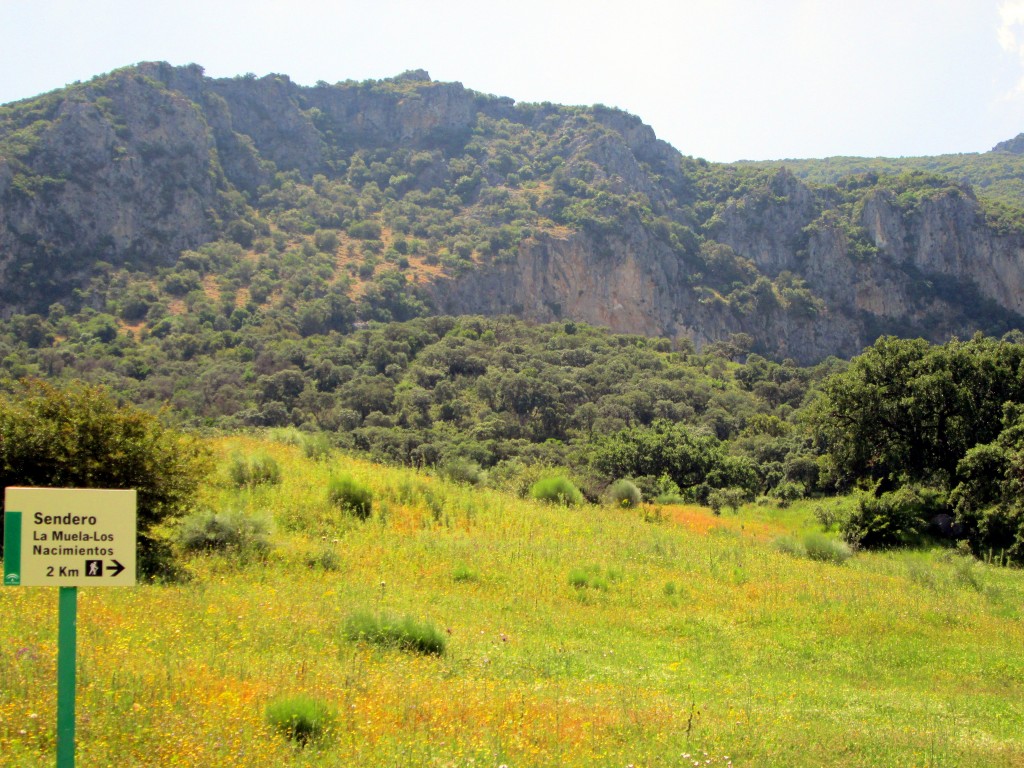 Foto: Sendero a los Nacimientos - La Muela de Algodonales (Cádiz), España