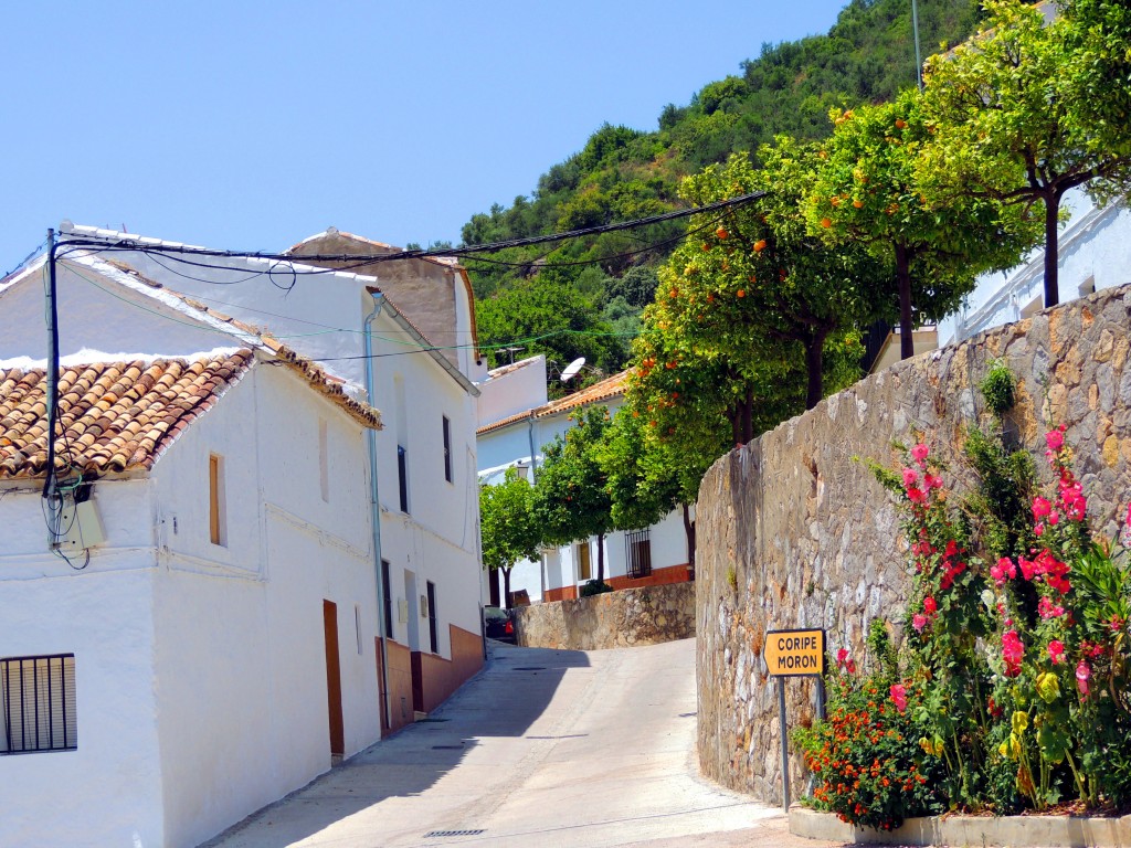 Foto: Salida para Coripe - La Muela de Algodonales (Cádiz), España