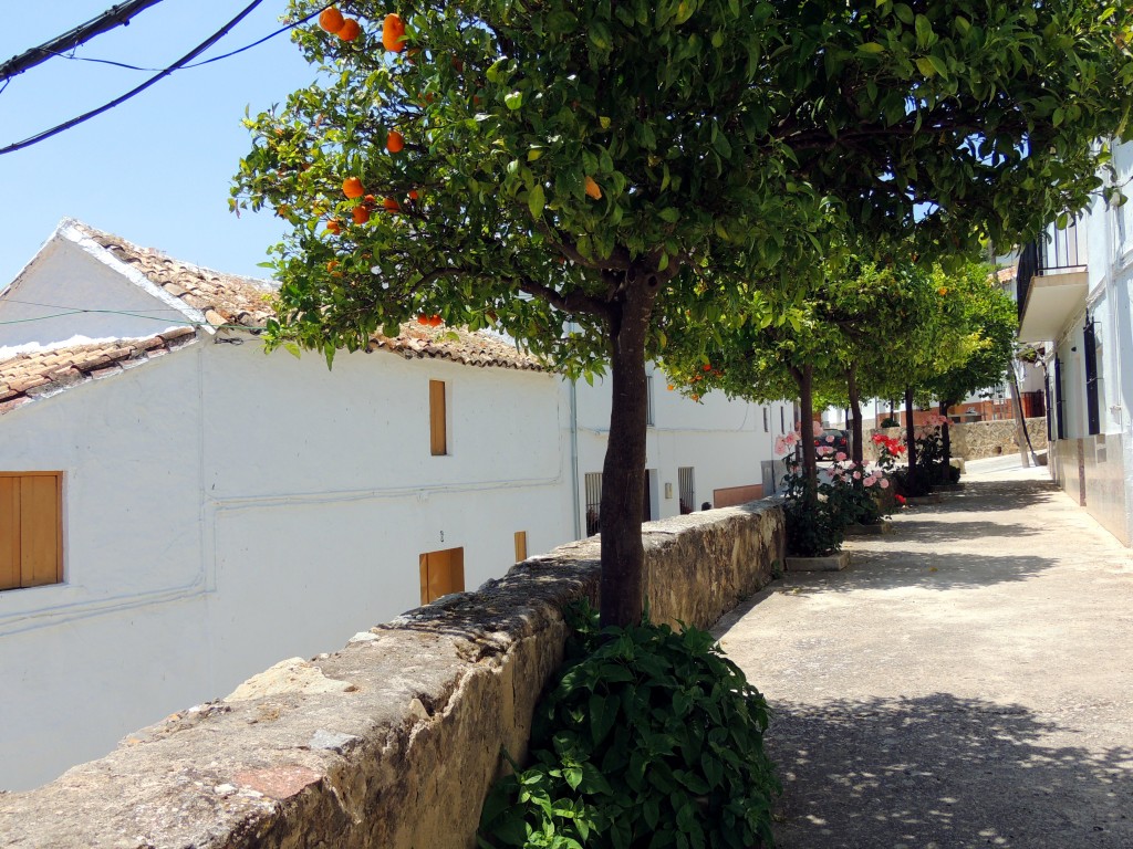 Foto: Calle Menendez Pidal - La Muela de Algodonales (Cádiz), España