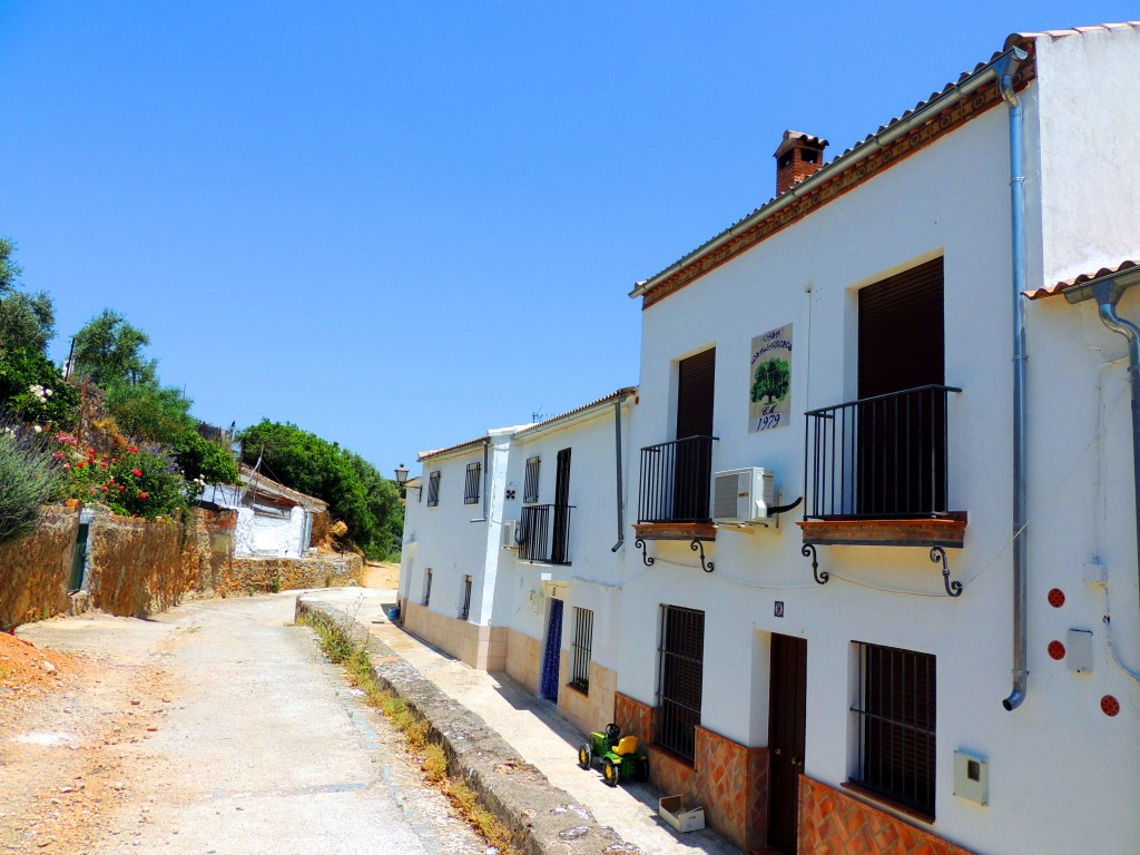 Foto: Casa de Los Algarrobos - La Muela de Algodonales (Cádiz), España