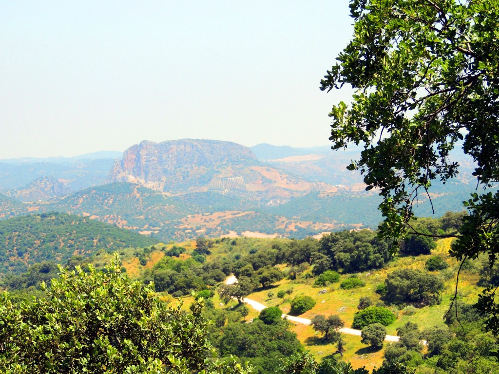 Foto: Camino a las pistas de vuelo - La Muela de Algodonales (Cádiz), España